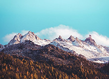 开云APP-斯佳辉2-6不敌威尔逊 止步斯诺克大师赛首轮