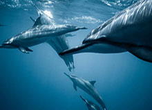 专访丨“中国体育市场潜力巨大、值得期待！”——访法国飓风集团创始人兼首席执行官伯努瓦